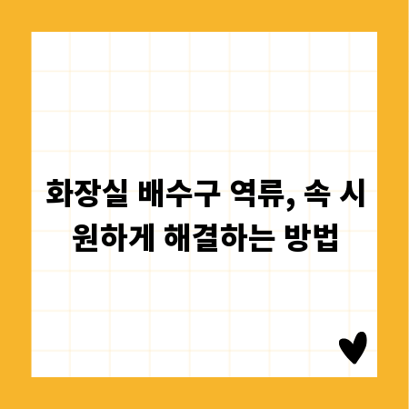 화장실 배수구 역류, 속 시원하게 해결하는 방법