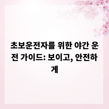 초보운전자를 위한 야간 운전 가이드: 보이고, 안전하게