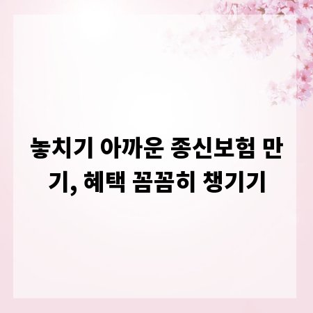 놓치기 아까운 종신보험 만기, 혜택 꼼꼼히 챙기기