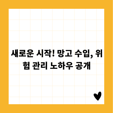 새로운 시작! 망고 수입, 위험 관리 노하우 공개