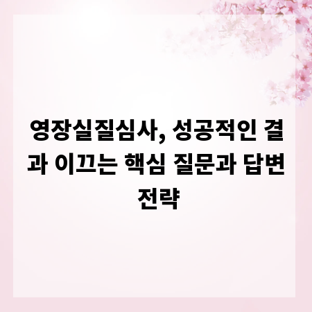 영장실질심사, 성공적인 결과 이끄는 핵심 질문과 답변 전략