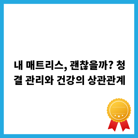 내 매트리스, 괜찮을까? 청결 관리와 건강의 상관관계