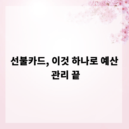 선불카드, 이것 하나로 예산 관리 끝