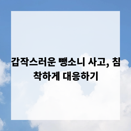 갑작스러운 뺑소니 사고, 침착하게 대응하기
