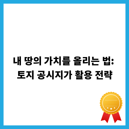 내 땅의 가치를 올리는 법: 토지 공시지가 활용 전략