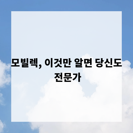 모빌렉, 이것만 알면 당신도 전문가