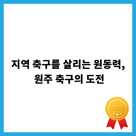지역 축구를 살리는 원동력, 원주 축구의 도전