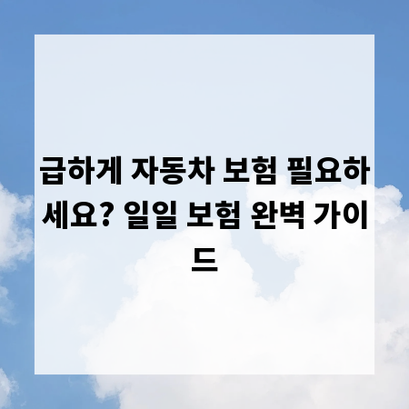 급하게 자동차 보험 필요하세요? 일일 보험 완벽 가이드