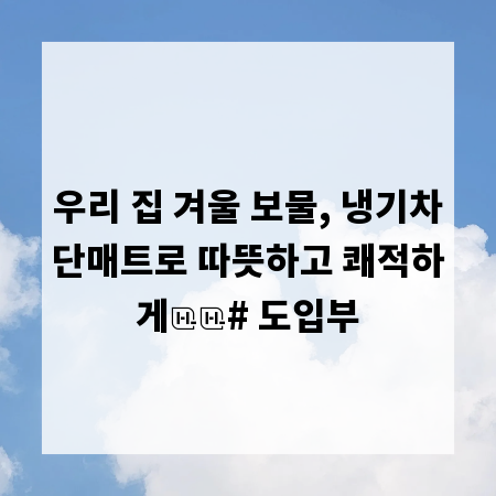 우리 집 겨울 보물, 냉기차단매트로 따뜻하고 쾌적하게

# 도입부