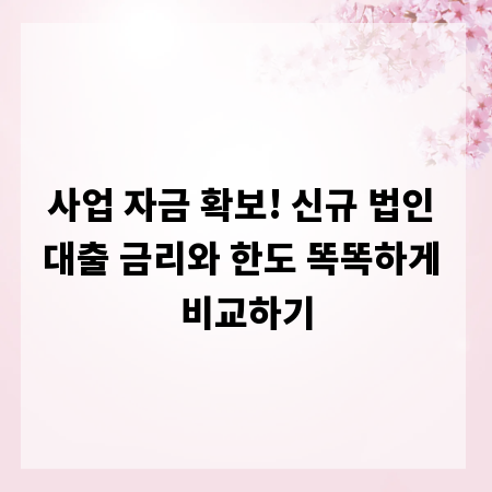 사업 자금 확보! 신규 법인 대출 금리와 한도 똑똑하게 비교하기