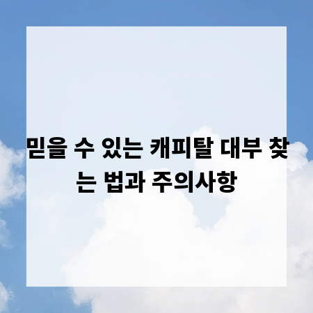 믿을 수 있는 캐피탈 대부 찾는 법과 주의사항