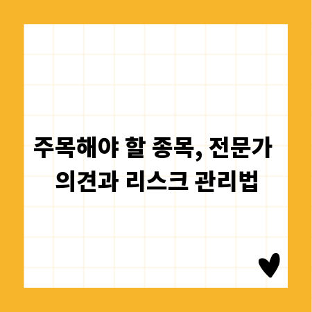 주목해야 할 종목, 전문가 의견과 리스크 관리법