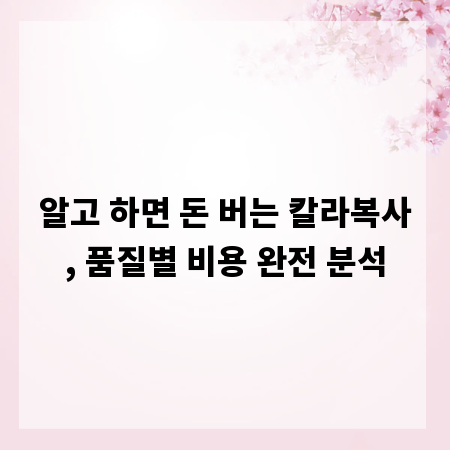알고 하면 돈 버는 칼라복사, 품질별 비용 완전 분석