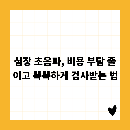 심장 초음파, 비용 부담 줄이고 똑똑하게 검사받는 법