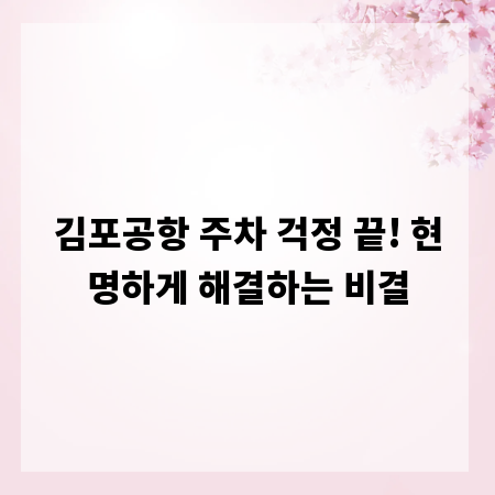 김포공항 주차 걱정 끝! 현명하게 해결하는 비결