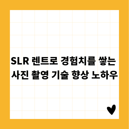 SLR 렌트로 경험치를 쌓는 사진 촬영 기술 향상 노하우
