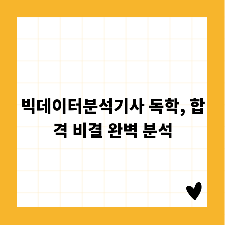 빅데이터분석기사 독학, 합격 비결 완벽 분석