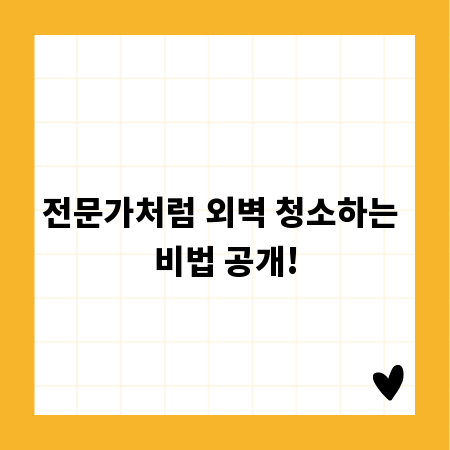 전문가처럼 외벽 청소하는 비법 공개!