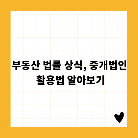 부동산 법률 상식, 중개법인 활용법 알아보기