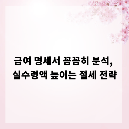급여 명세서 꼼꼼히 분석, 실수령액 높이는 절세 전략