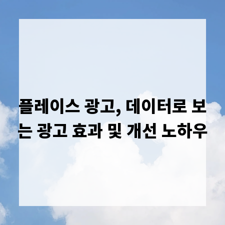플레이스 광고, 데이터로 보는 광고 효과 및 개선 노하우
