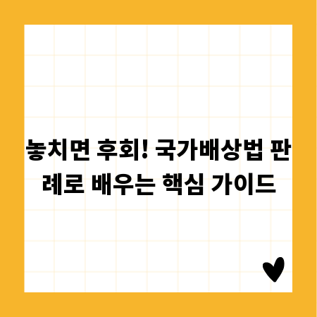놓치면 후회! 국가배상법 판례로 배우는 핵심 가이드