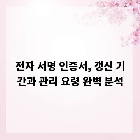 전자 서명 인증서, 갱신 기간과 관리 요령 완벽 분석