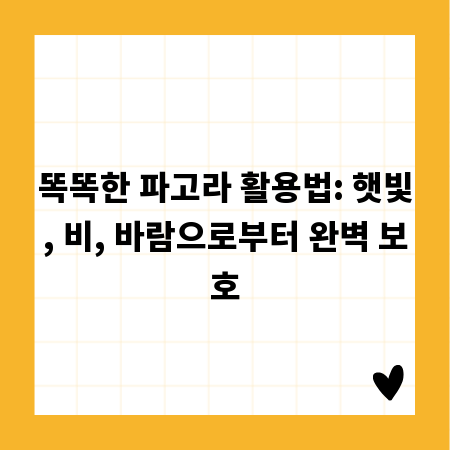 똑똑한 파고라 활용법: 햇빛, 비, 바람으로부터 완벽 보호