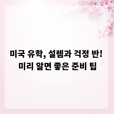미국 유학, 설렘과 걱정 반! 미리 알면 좋은 준비 팁