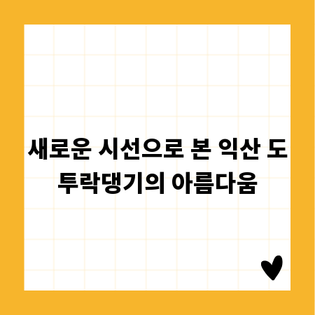 새로운 시선으로 본 익산 도투락댕기의 아름다움