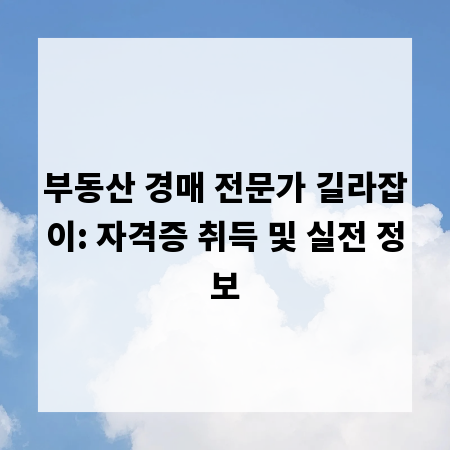 부동산 경매 전문가 길라잡이: 자격증 취득 및 실전 정보