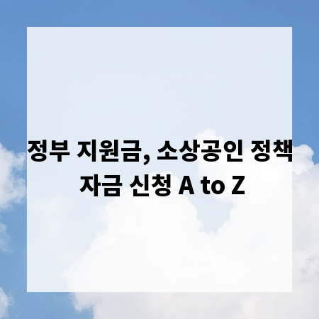 정부 지원금, 소상공인 정책 자금 신청 A to Z
