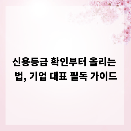 신용등급 확인부터 올리는 법, 기업 대표 필독 가이드