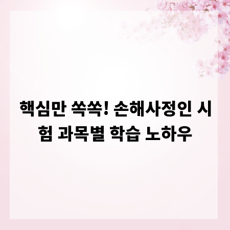 핵심만 쏙쏙! 손해사정인 시험 과목별 학습 노하우