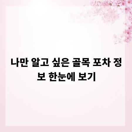 나만 알고 싶은 골목 포차 정보 한눈에 보기