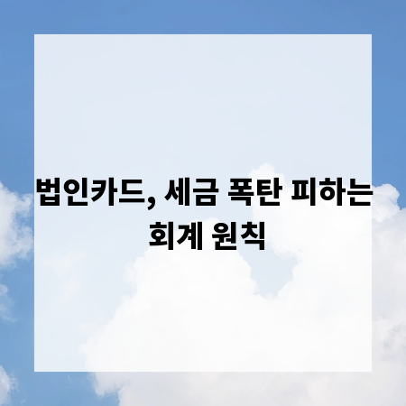 법인카드, 세금 폭탄 피하는 회계 원칙