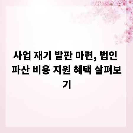 사업 재기 발판 마련, 법인 파산 비용 지원 혜택 살펴보기