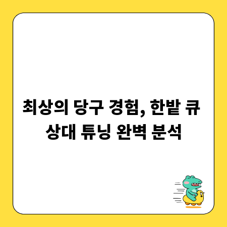 최상의 당구 경험, 한밭 큐 상대 튜닝 완벽 분석