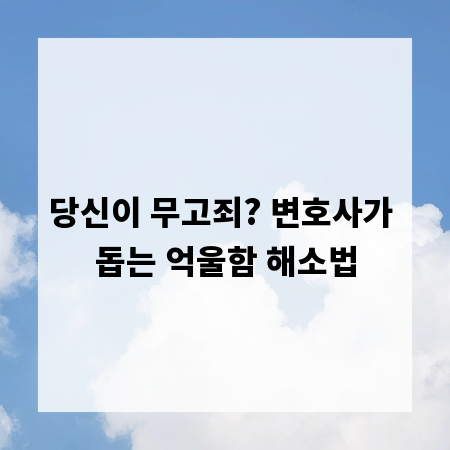 당신이 무고죄? 변호사가 돕는 억울함 해소법