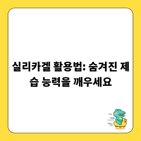 실리카겔 활용법: 숨겨진 제습 능력을 깨우세요