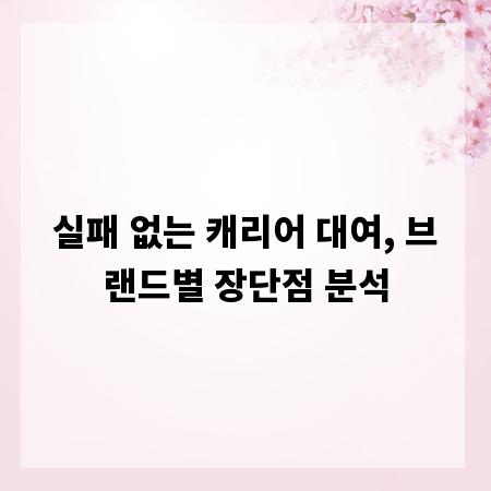 실패 없는 캐리어 대여, 브랜드별 장단점 분석