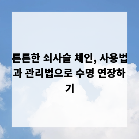 튼튼한 쇠사슬 체인, 사용법과 관리법으로 수명 연장하기