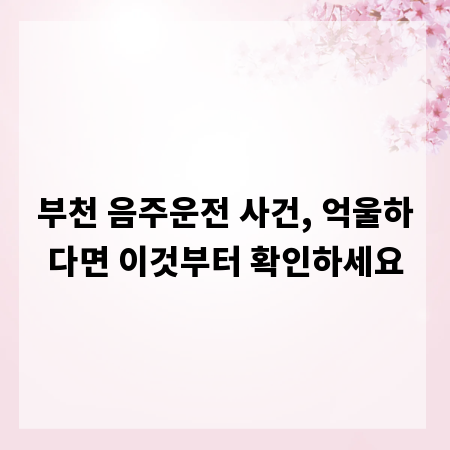 부천 음주운전 사건, 억울하다면 이것부터 확인하세요