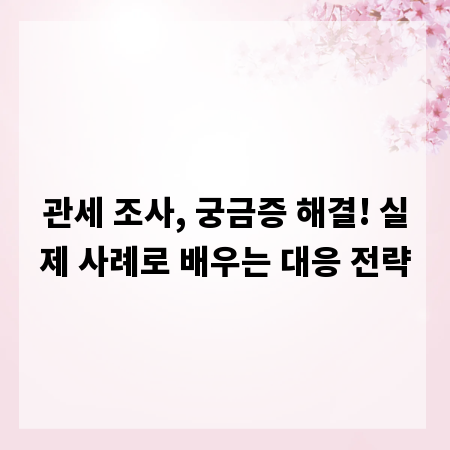 관세 조사, 궁금증 해결! 실제 사례로 배우는 대응 전략